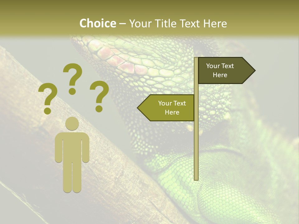 Scale Slow Lizard PowerPoint Template