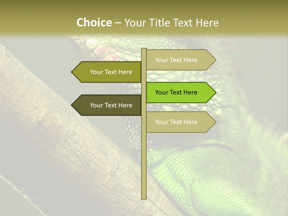 Scale Slow Lizard PowerPoint Template