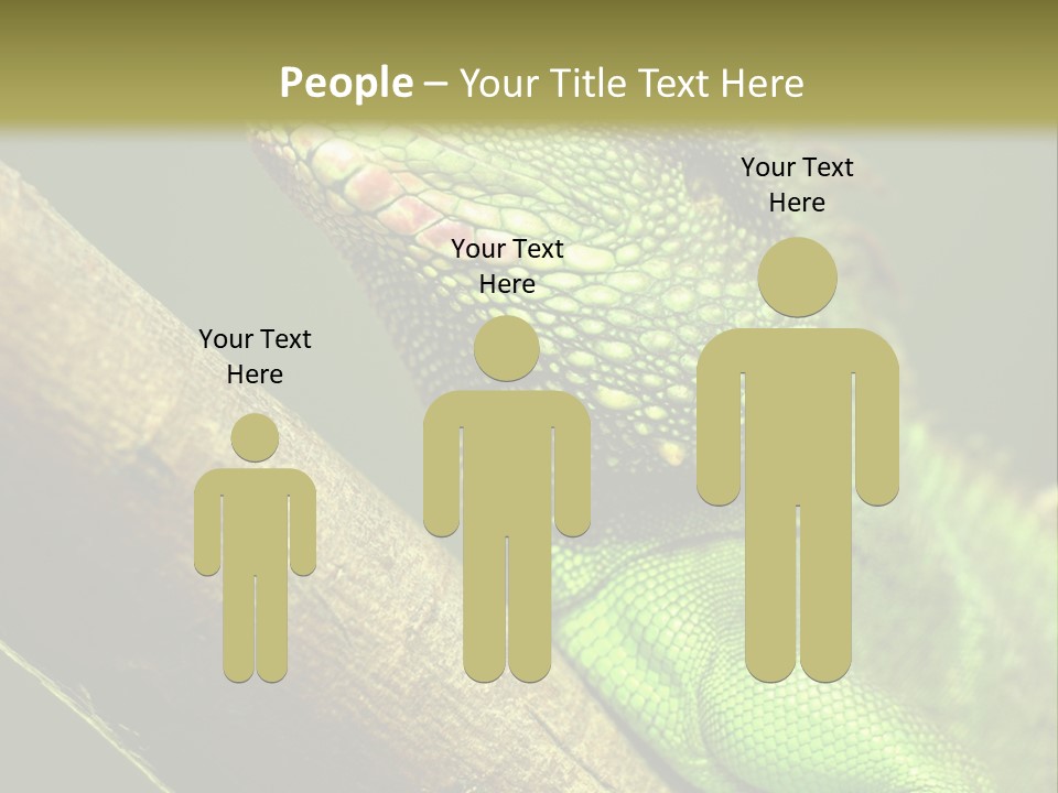 Scale Slow Lizard PowerPoint Template