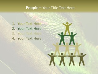 Scale Slow Lizard PowerPoint Template