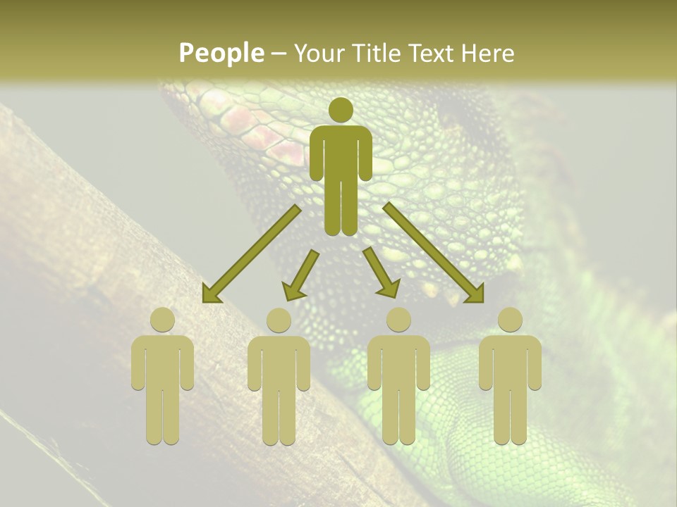 Scale Slow Lizard PowerPoint Template