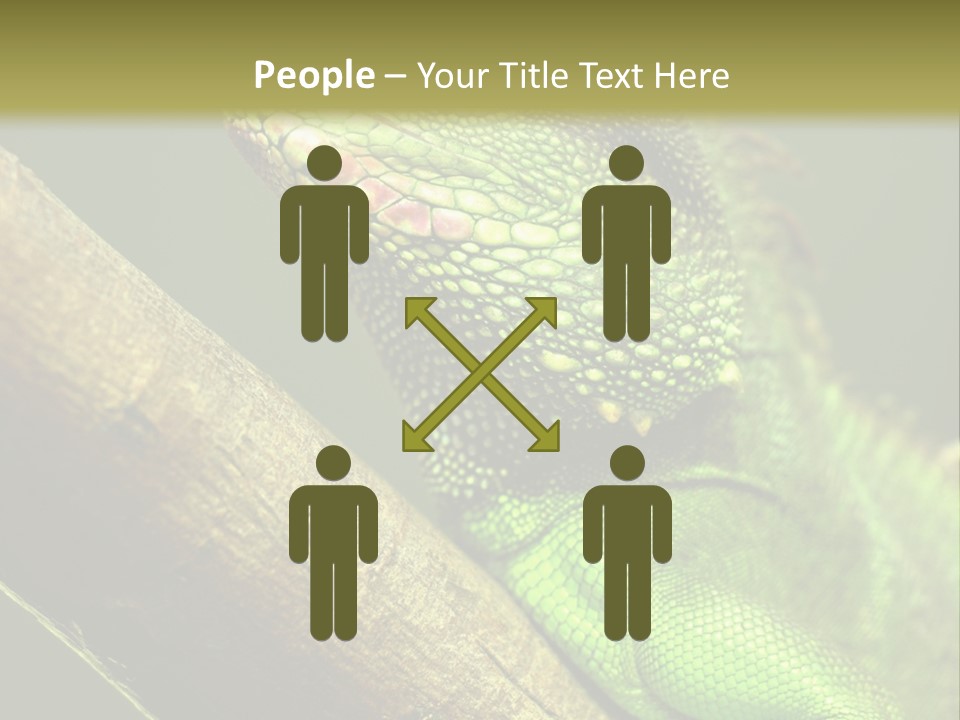 Scale Slow Lizard PowerPoint Template