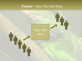 Scale Slow Lizard PowerPoint Template