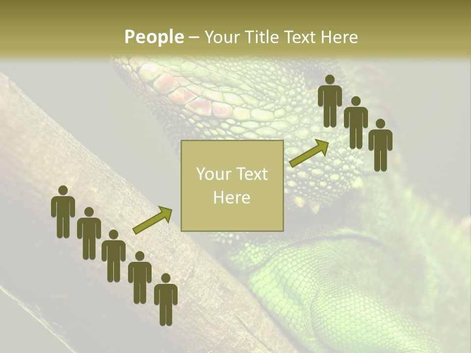 Scale Slow Lizard PowerPoint Template