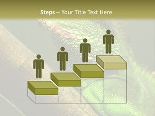 Scale Slow Lizard PowerPoint Template