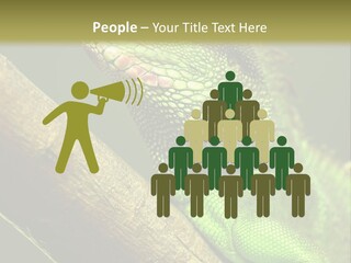 Scale Slow Lizard PowerPoint Template