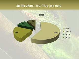 Scale Slow Lizard PowerPoint Template