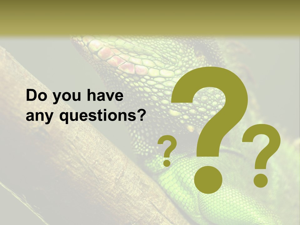 Scale Slow Lizard PowerPoint Template