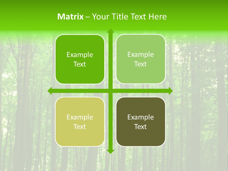 Ray Branches Daylight PowerPoint Template