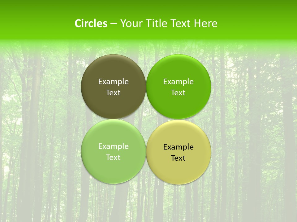 Ray Branches Daylight PowerPoint Template