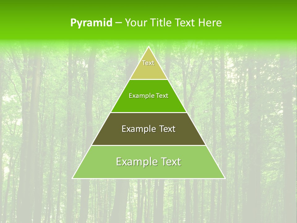 Ray Branches Daylight PowerPoint Template