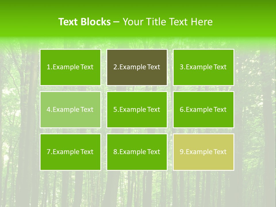 Ray Branches Daylight PowerPoint Template