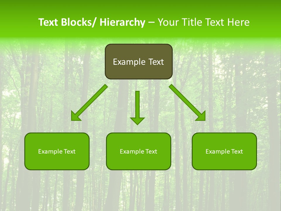 Ray Branches Daylight PowerPoint Template