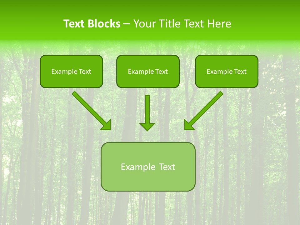 Ray Branches Daylight PowerPoint Template