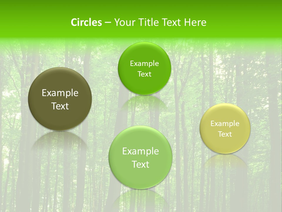 Ray Branches Daylight PowerPoint Template