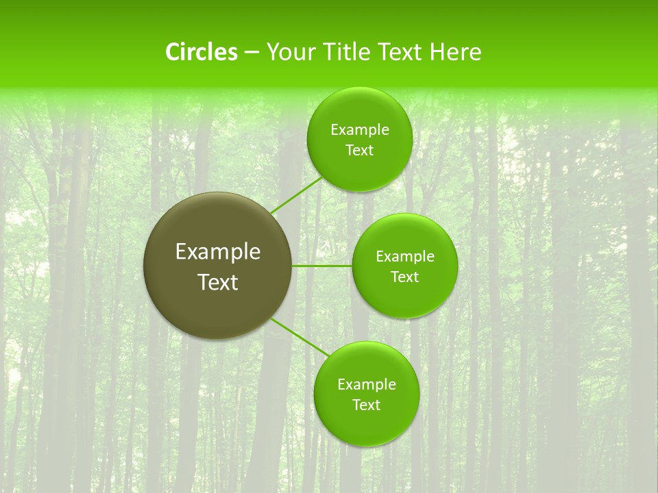 Ray Branches Daylight PowerPoint Template