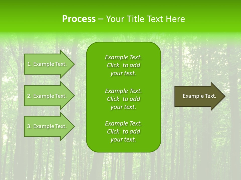 Ray Branches Daylight PowerPoint Template