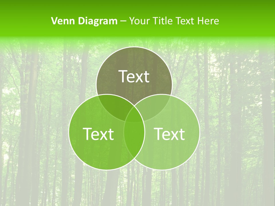 Ray Branches Daylight PowerPoint Template