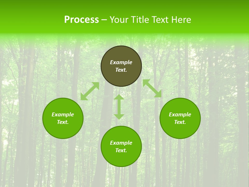 Ray Branches Daylight PowerPoint Template
