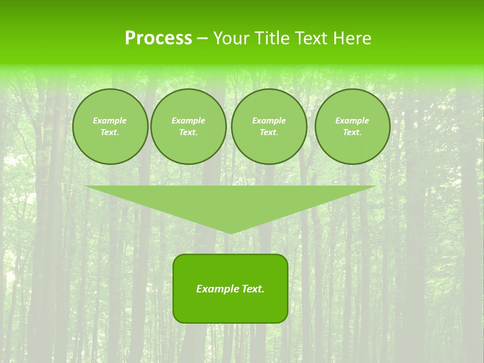 Ray Branches Daylight PowerPoint Template