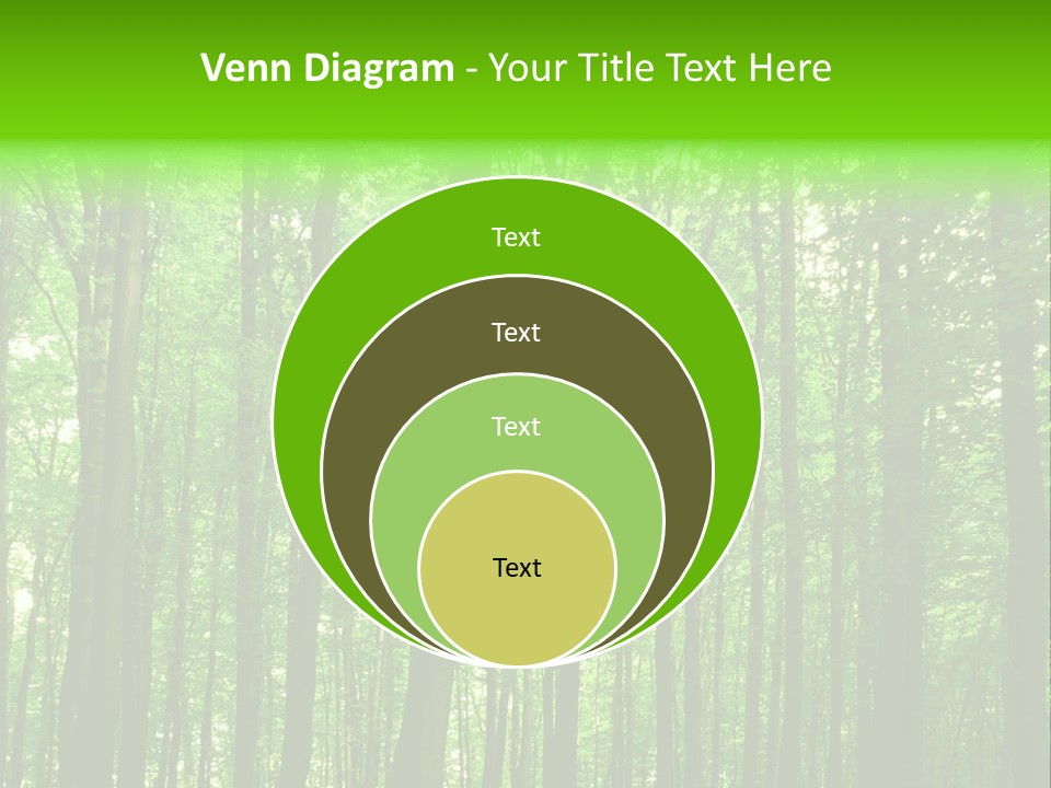 Ray Branches Daylight PowerPoint Template
