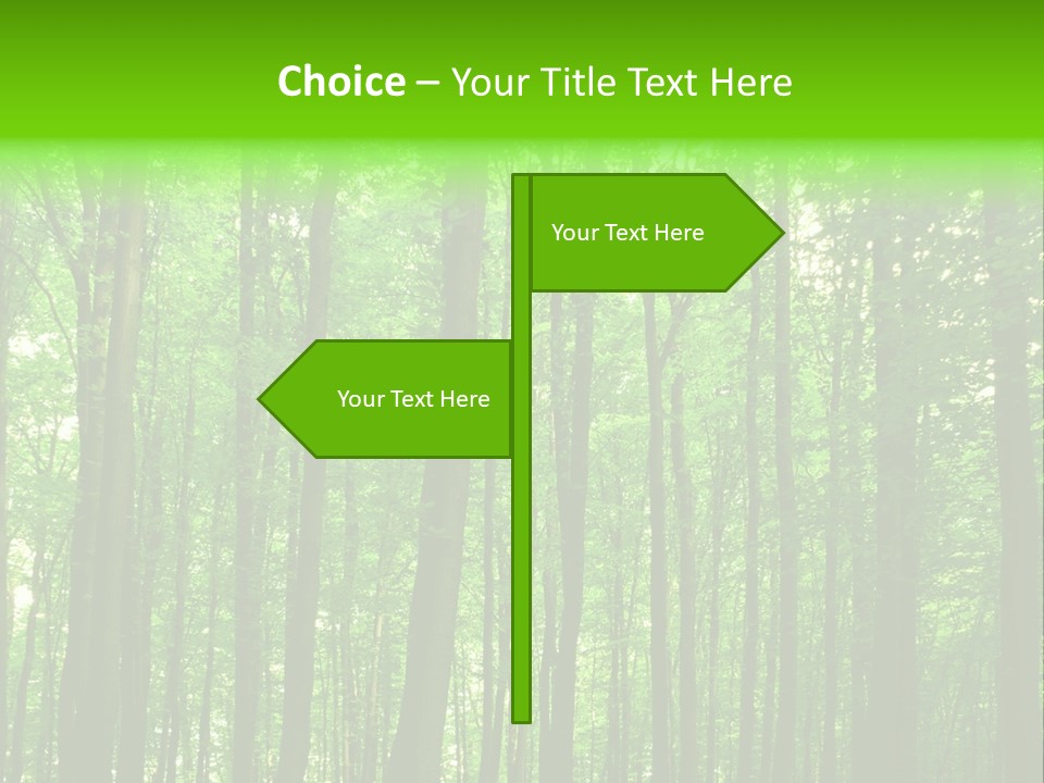 Ray Branches Daylight PowerPoint Template