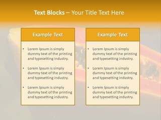 Cutting Fruit Food PowerPoint Template