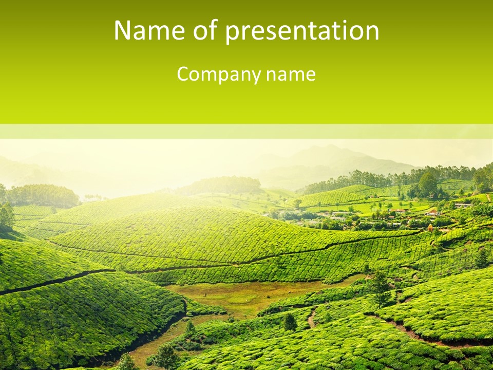 South Morning Asia PowerPoint Template
