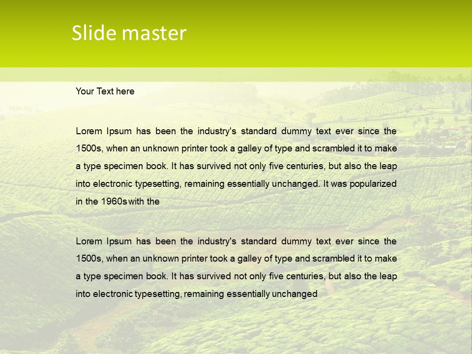 South Morning Asia PowerPoint Template