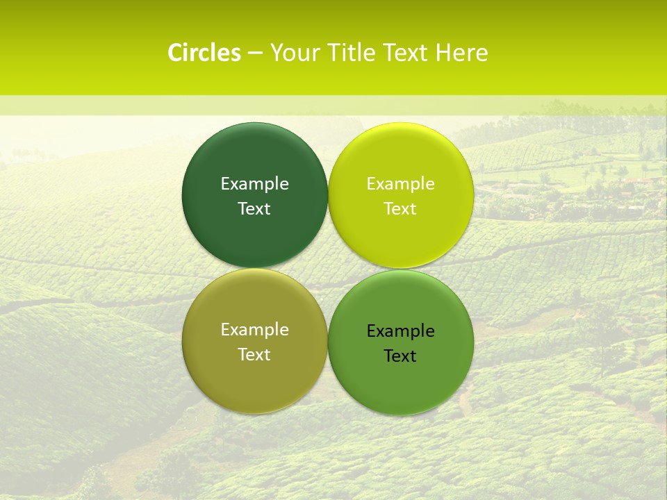 South Morning Asia PowerPoint Template