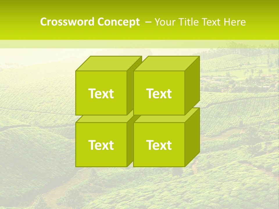 South Morning Asia PowerPoint Template
