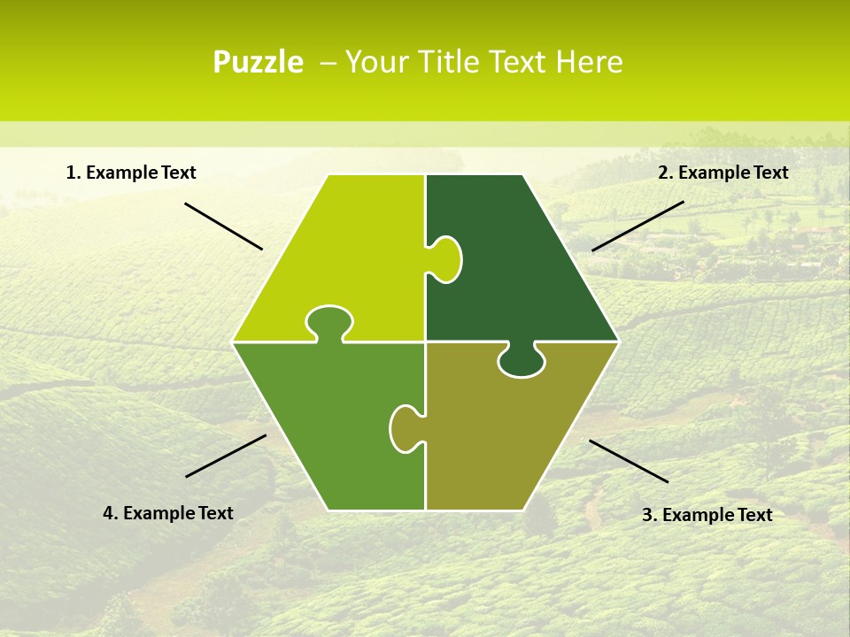 South Morning Asia PowerPoint Template