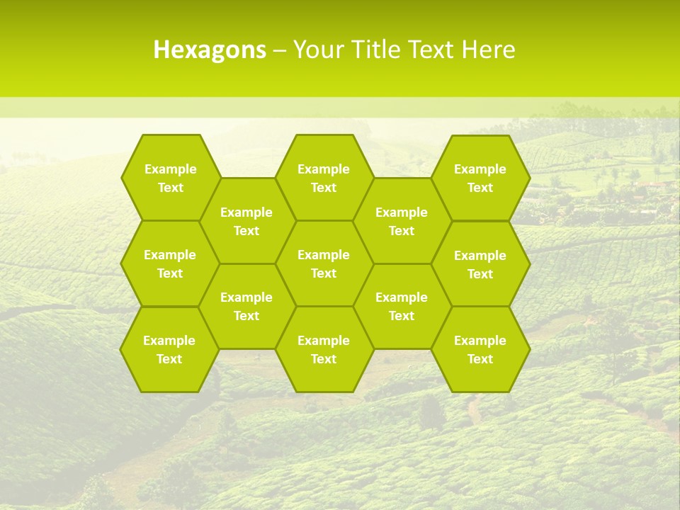 South Morning Asia PowerPoint Template