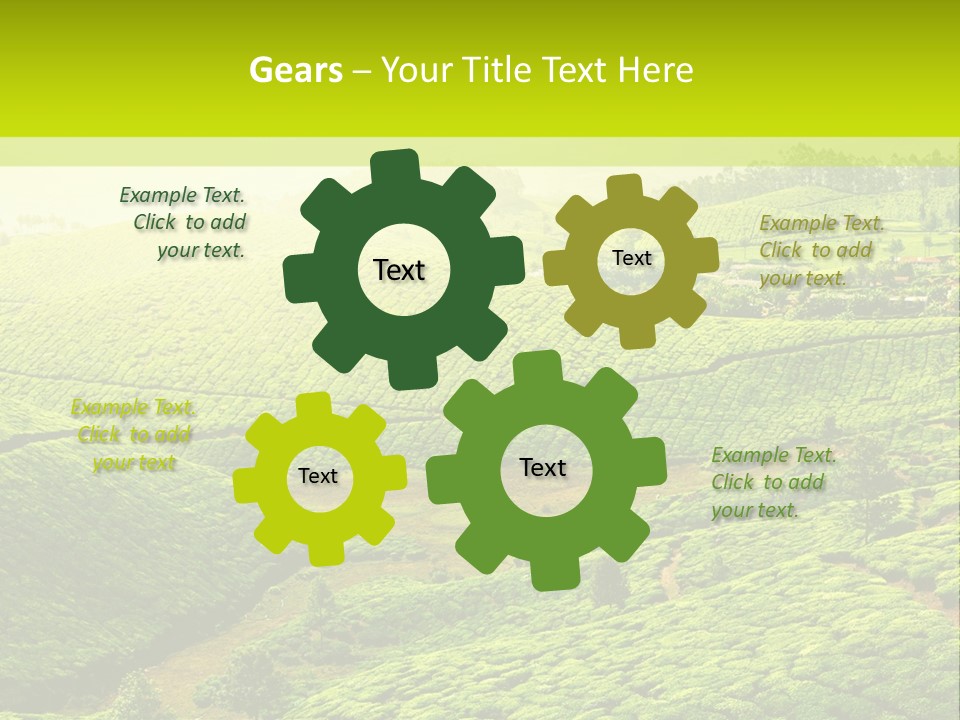 South Morning Asia PowerPoint Template