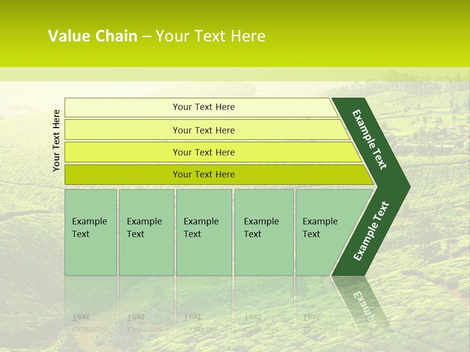 South Morning Asia PowerPoint Template