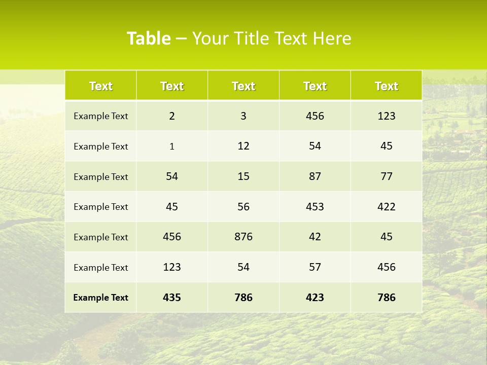 South Morning Asia PowerPoint Template