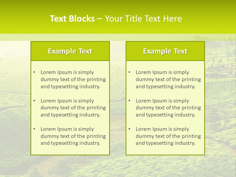South Morning Asia PowerPoint Template