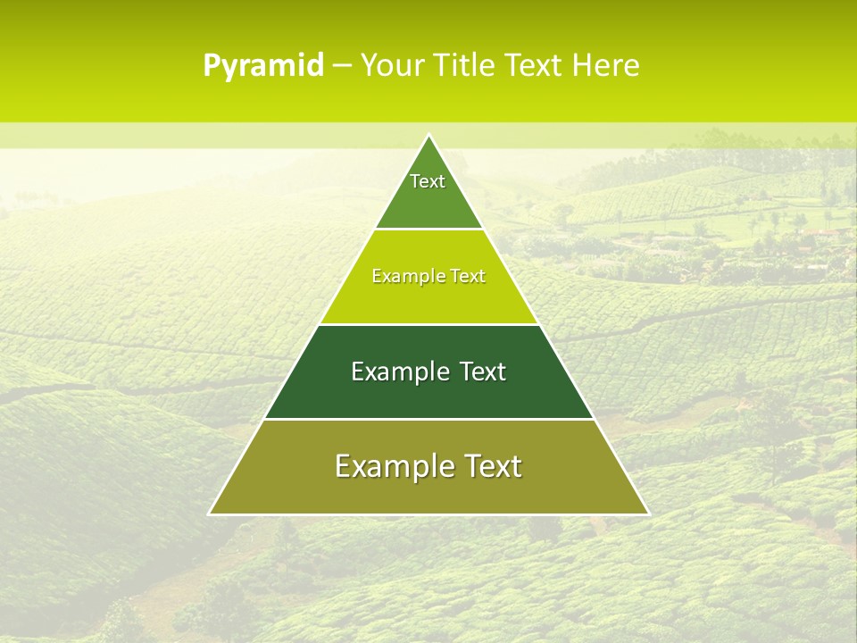 South Morning Asia PowerPoint Template