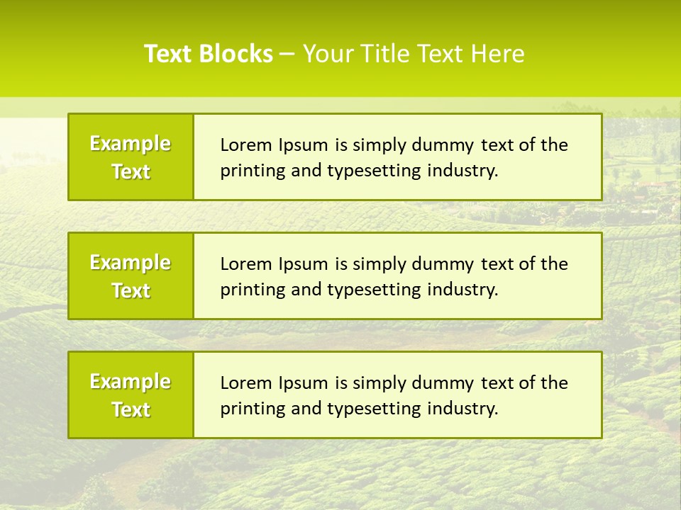 South Morning Asia PowerPoint Template