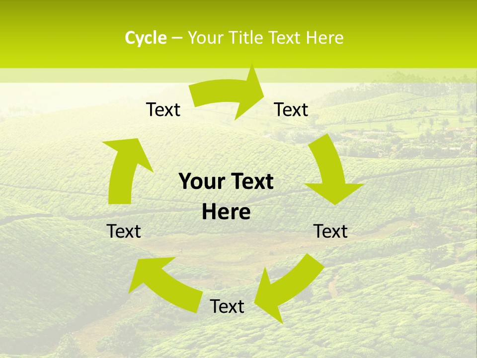 South Morning Asia PowerPoint Template