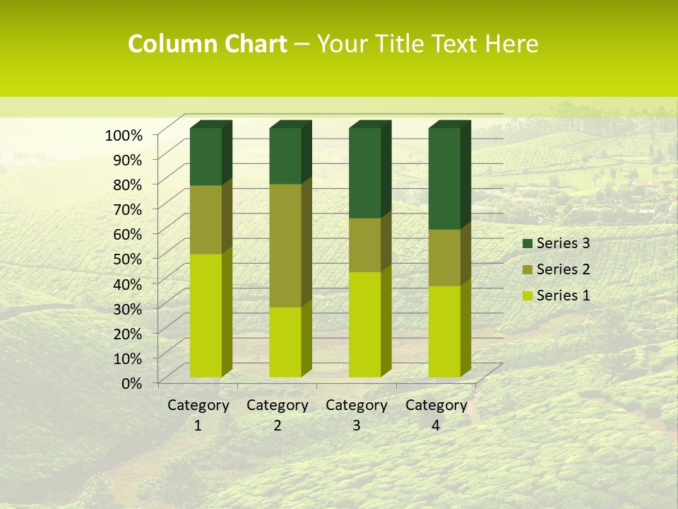 South Morning Asia PowerPoint Template