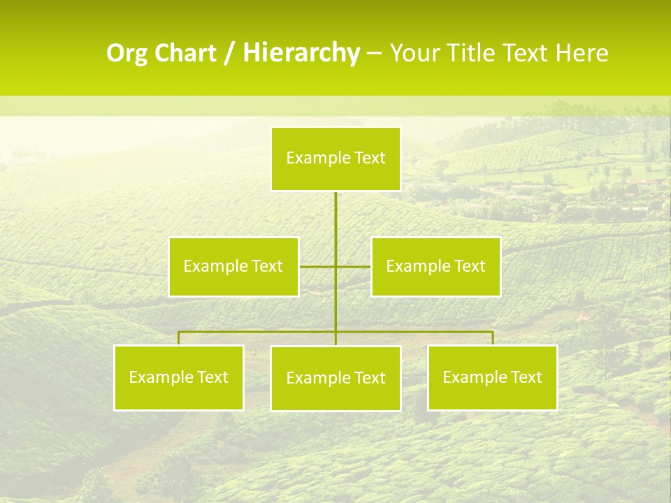South Morning Asia PowerPoint Template