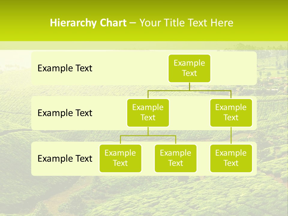 South Morning Asia PowerPoint Template
