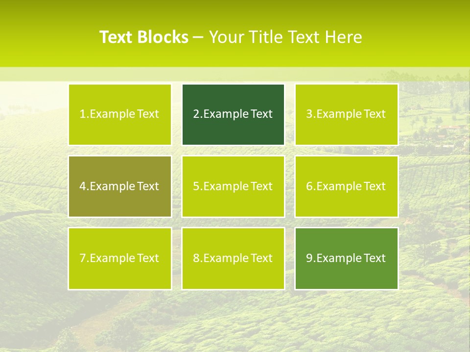 South Morning Asia PowerPoint Template