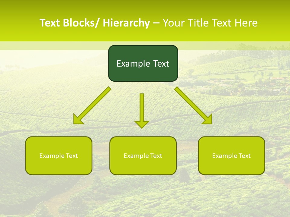South Morning Asia PowerPoint Template