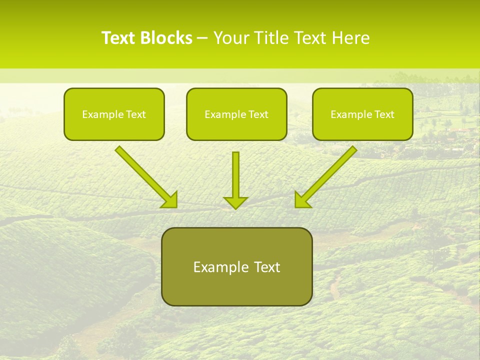 South Morning Asia PowerPoint Template