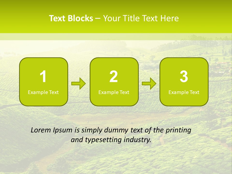 South Morning Asia PowerPoint Template