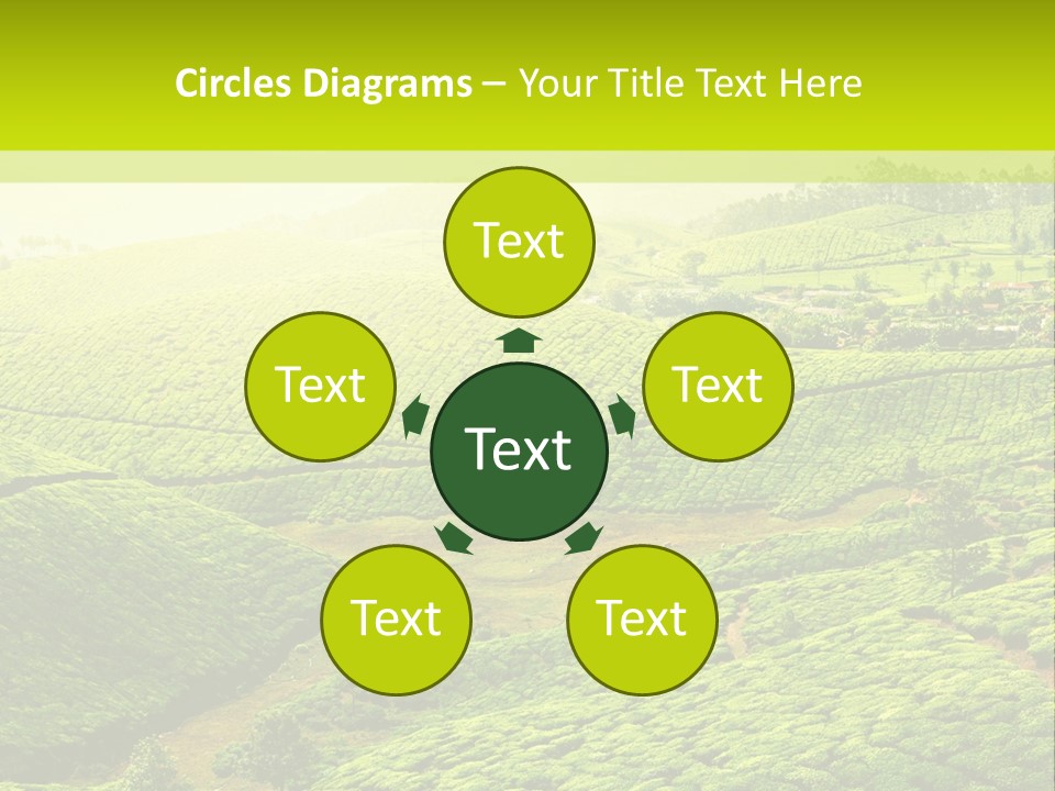 South Morning Asia PowerPoint Template