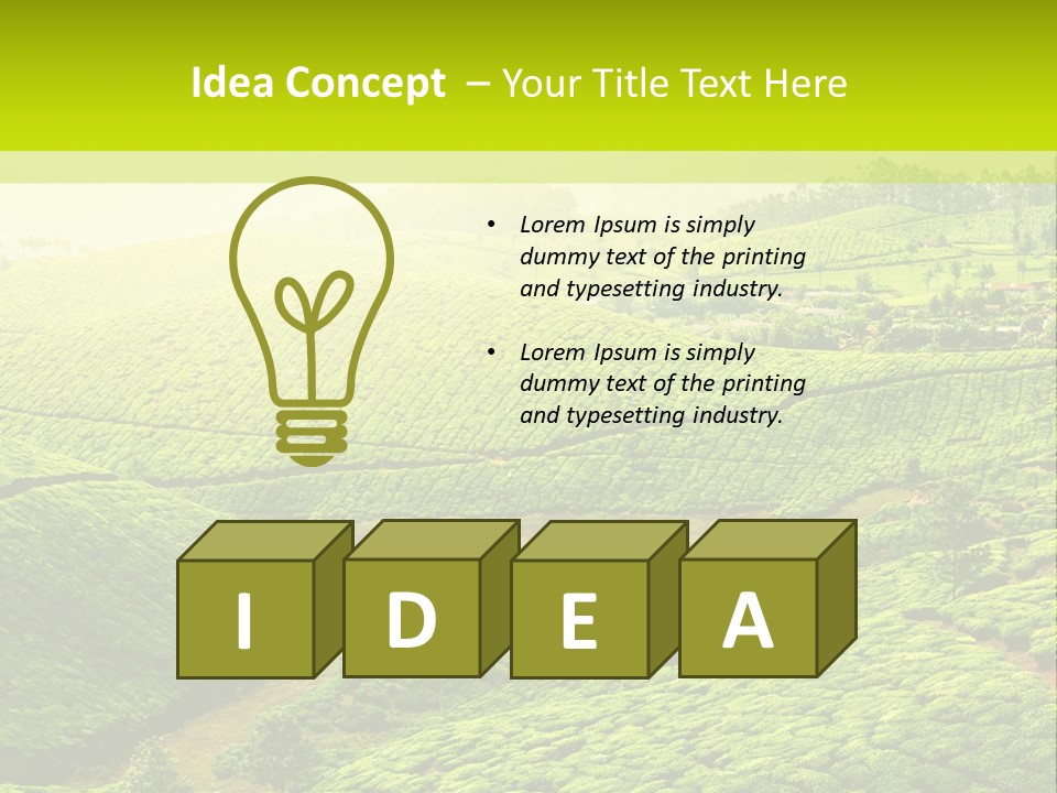 South Morning Asia PowerPoint Template