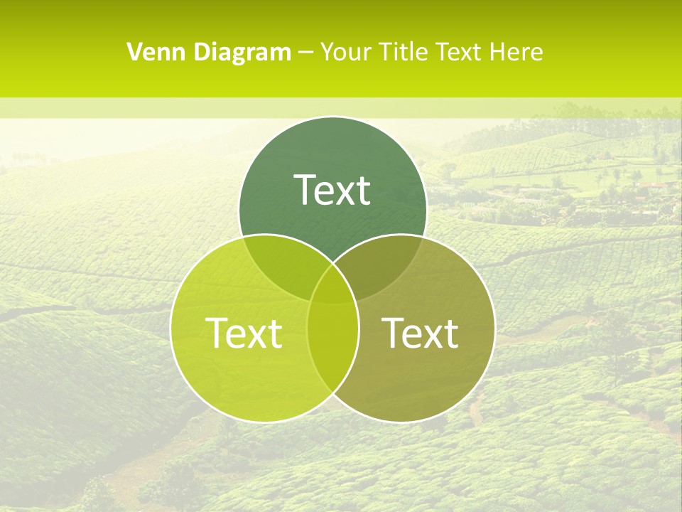 South Morning Asia PowerPoint Template
